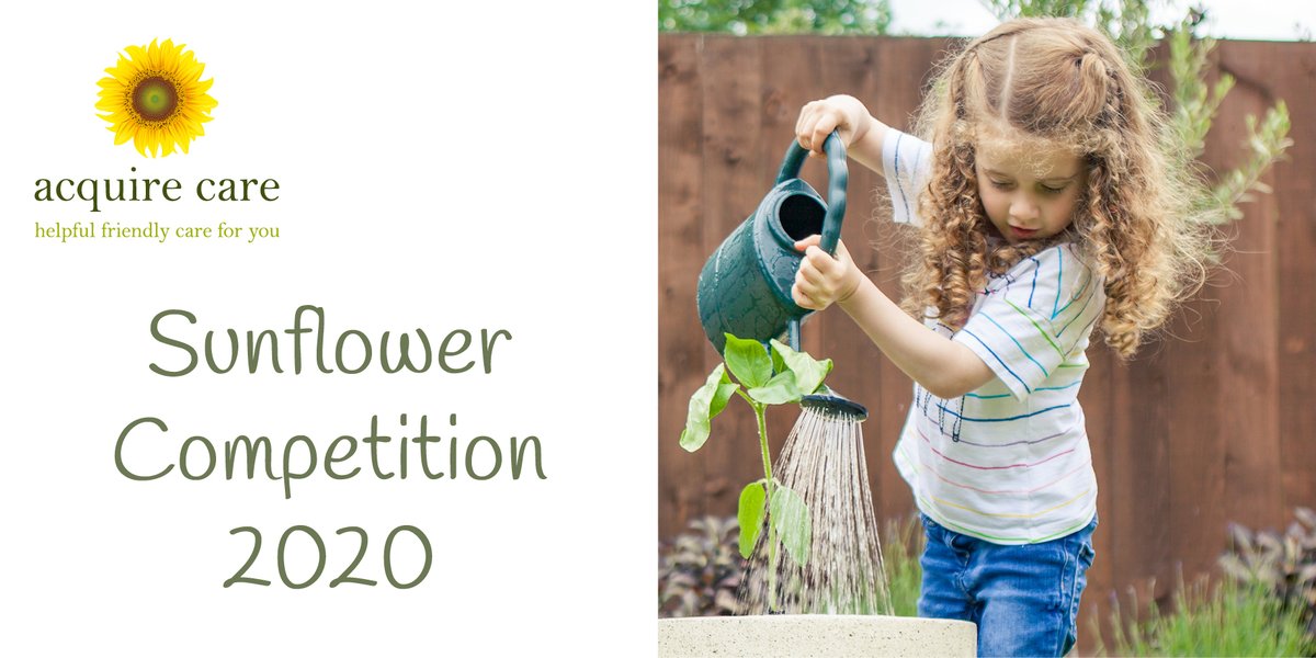 AcquireCare's tweet photo. How are your sunflowers growing? They should be enjoying the lovely sunshine we are having at the moment, especially if you are remembering to water them regularly. Or have you forgotten about the Acquire Care Sunflower Comp? https://t.co/rz5cPPWuwu #sunflower #sunflowercomp https://t.co/VdqWVMDSNr