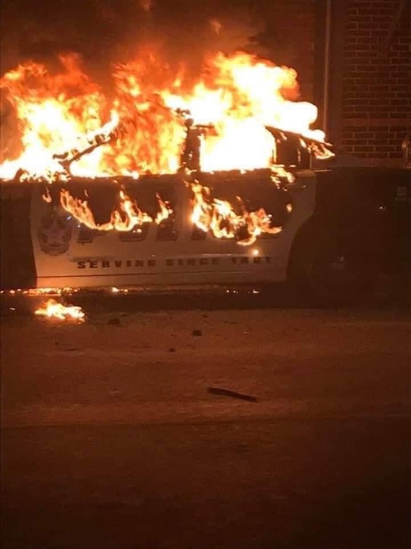 DD8122's tweet photo. Protestors here in Dallas threw bricks at the mounted patrol, harming at least one horse's head. https://t.co/a9T9Edu8QR