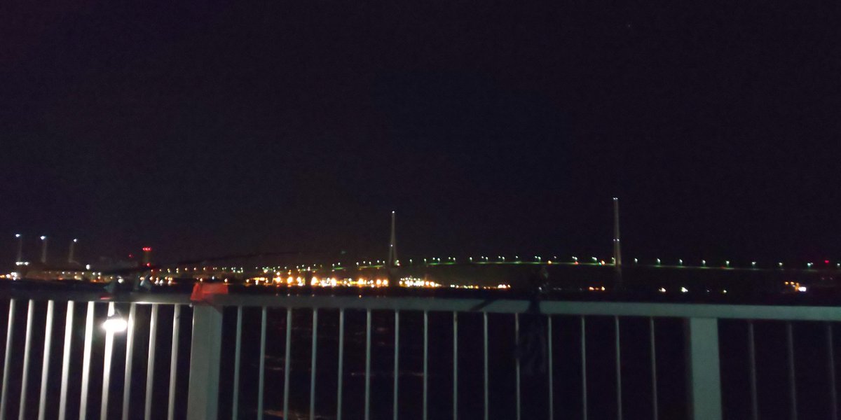 今のところ異常なしです😇
ところでたぬきは居なくなったのかな🤔？