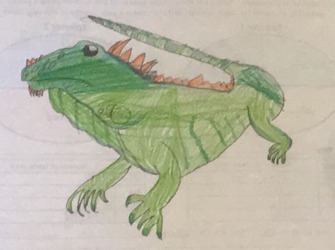 MrsWalkerOCSB's tweet photo. Iguanas, bearded dragons and rattlesnakes...oh my! 🦎🐍 @StAnneOCSB #ocsbAtHome #ocsbArt #ocsbScience #reptiles #classifyinganimals https://t.co/QA9zUttLDB