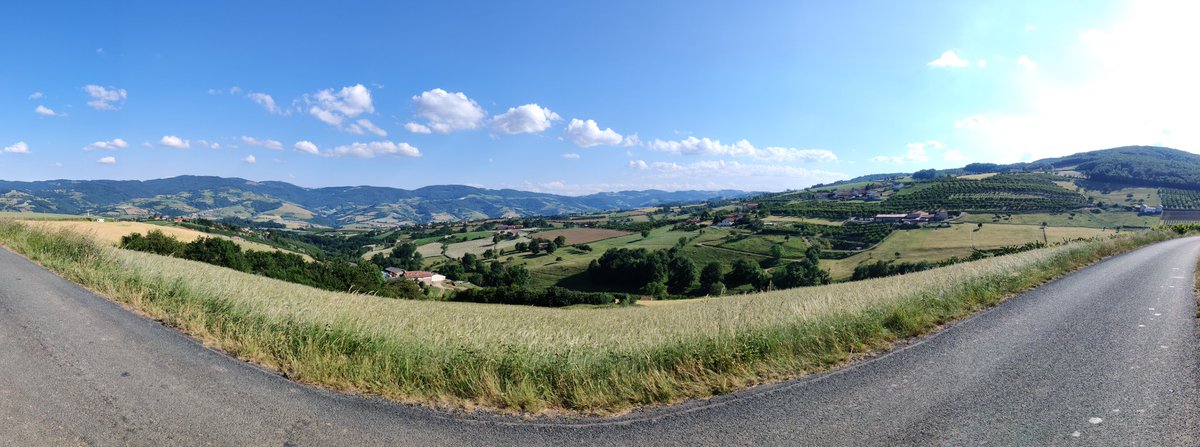 MaxSchoech's tweet photo. Après le pays du raisin la semaine dernière, le pays des #fraises et #cerises en #velo avec les #MontsDuLyonnais ❤️
#Rhone #ColDeLaLuere #ColDeMalval
#Courzieu #Bessenay https://t.co/IUnrawvZAJ