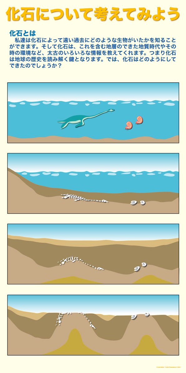 化石のtwitterイラスト検索結果 古い順