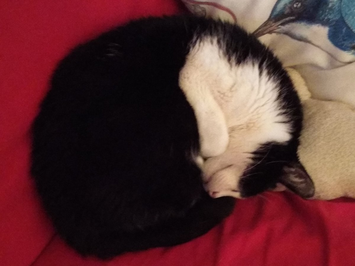 peppla's tweet photo. I will miss you my friend. I will miss you. https://t.co/UBwuRoWaAU