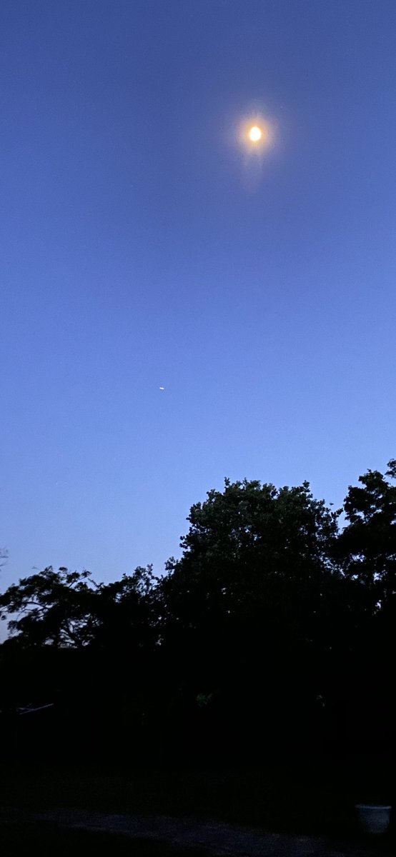 So excited to see <a href="/AstroBehnken/">Liam</a>, <a href="/Astro_Doug/">Col. Doug Hurley</a>, <a href="/NASA/">NASA</a>, <a href="/SpaceX/">SpaceX</a> fly over Suffolk in the United Kingdom.  <a href="/elonmusk/">Elon Musk</a> #space #SpaceX #CrewDragon 🚀🛰