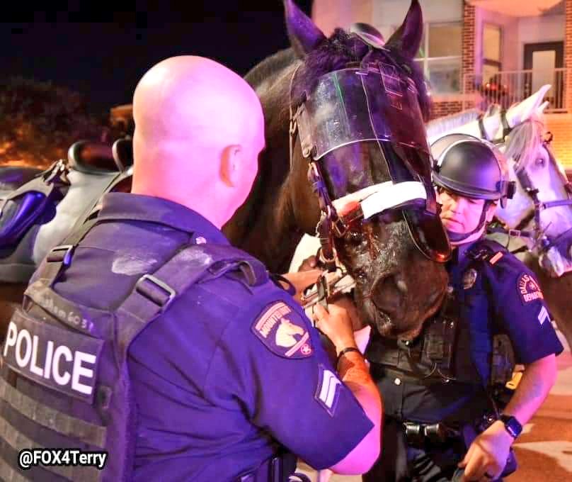 Landon01949551's tweet photo. Hearing about my friends getting hit, spit on &amp; their K9s &amp; 🐴s pelted w/ rocks simply b/c the uniform they wear hurts my ❤. People doing this are no better than those who judge a person based only on their race or disability. U can't combat hate w/ hate.
Be a Voice, Not an Echo https://t.co/MhX72xuNqM