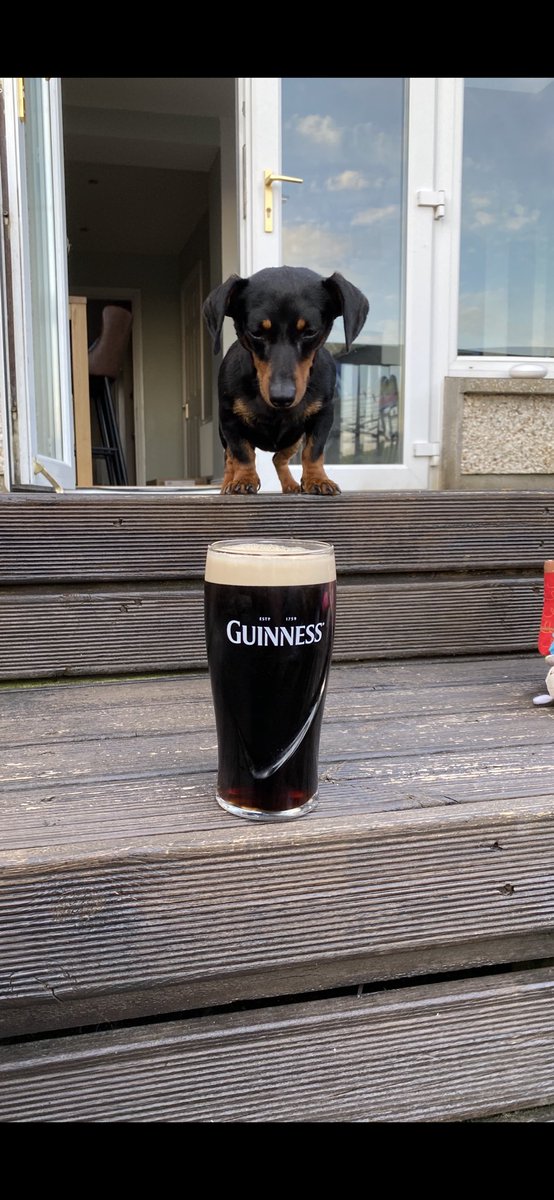 During lockdown new arrivals are fascinated but a Expertly Canned Guinness @BHentschell <a href="/GuinnessIreland/">Guinness Ireland</a>
