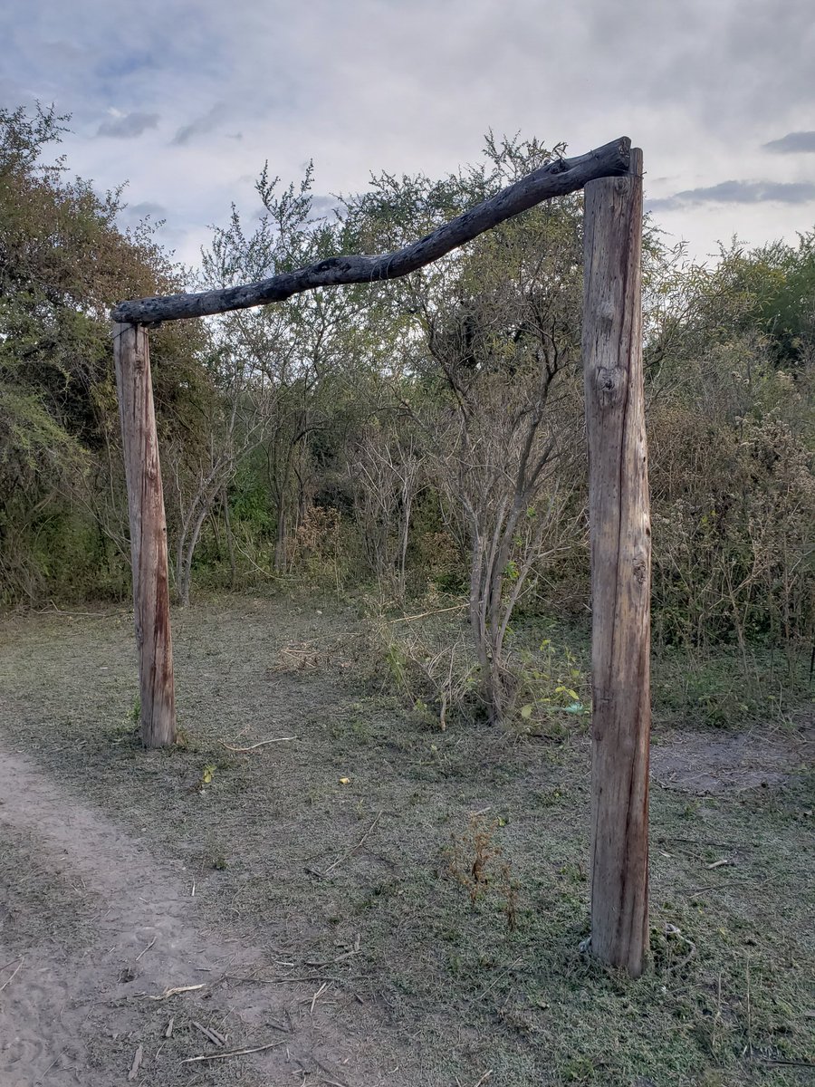 Elizabeth Carrizo (@eycarrizo) on Twitter photo 