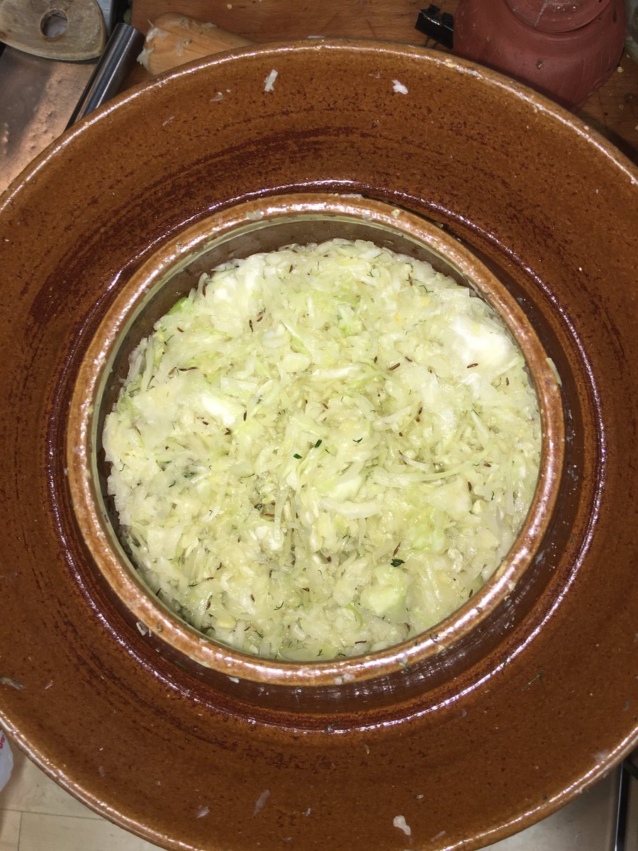 JGSPearl's tweet photo. Fresh batch of caraway, dill, salt & cabbage, ready to go under for about six weeks to become #sauerkraut.
#HomeFermentation
#FermentationMasters https://t.co/kWtTQV8YdL
