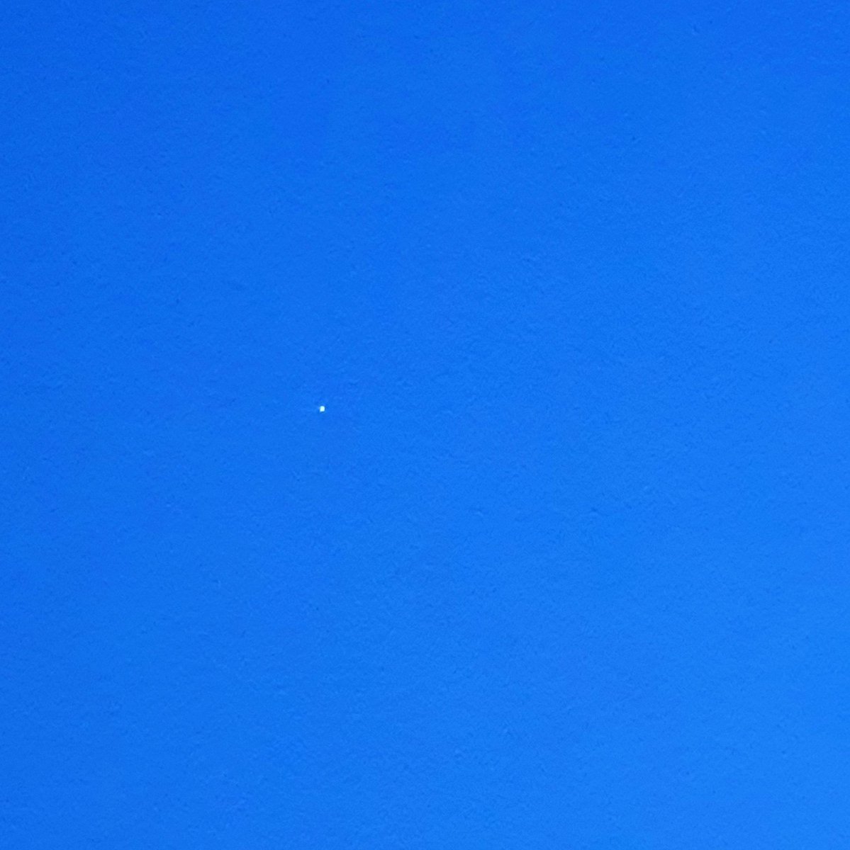 Adam Pridmore tweet media