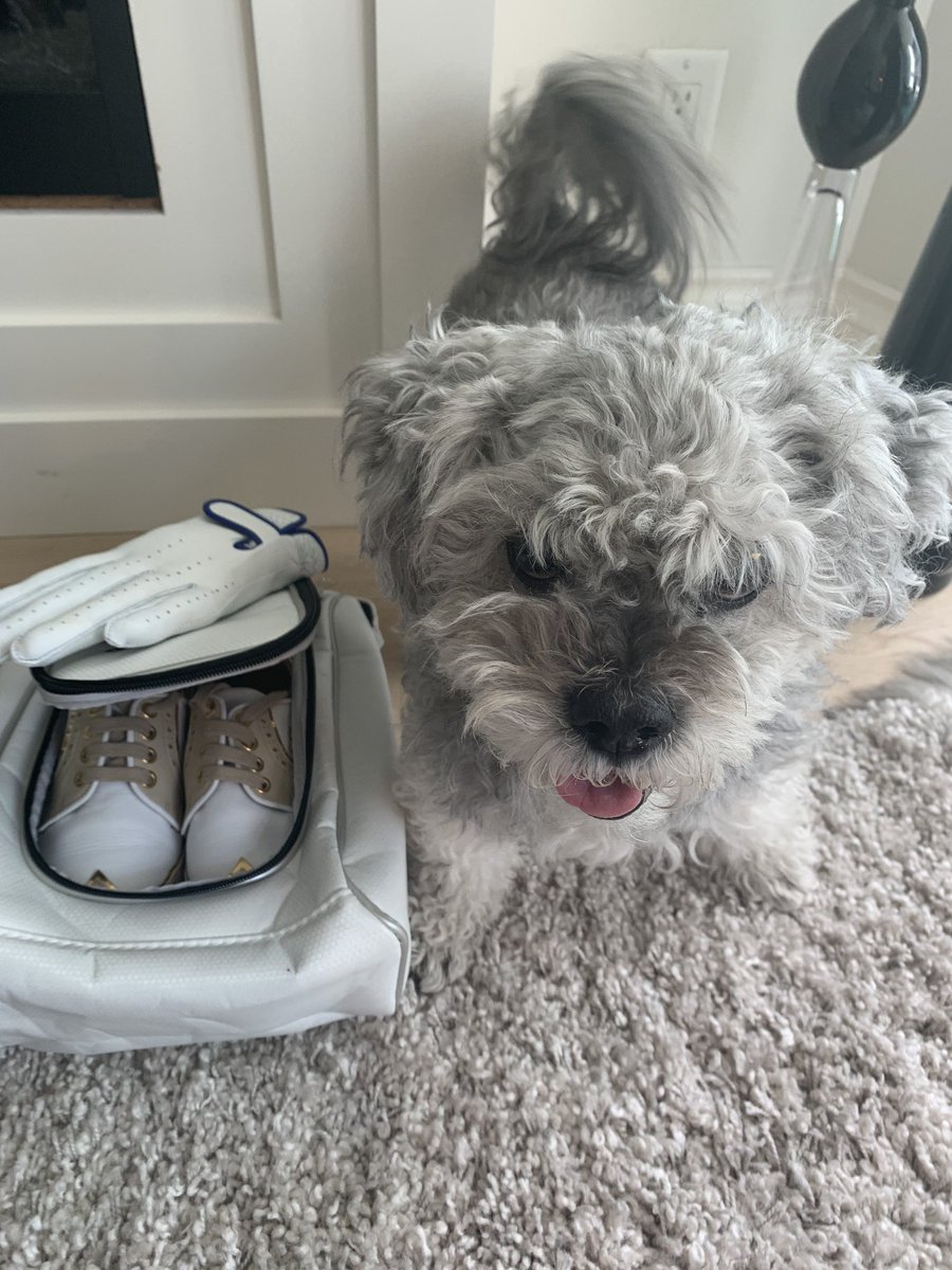 Mr B is having no part of us filming anything to do with anything but him this week lol 

#PhotoBombingContinues #GirlBossProblems #AdoptDontShop