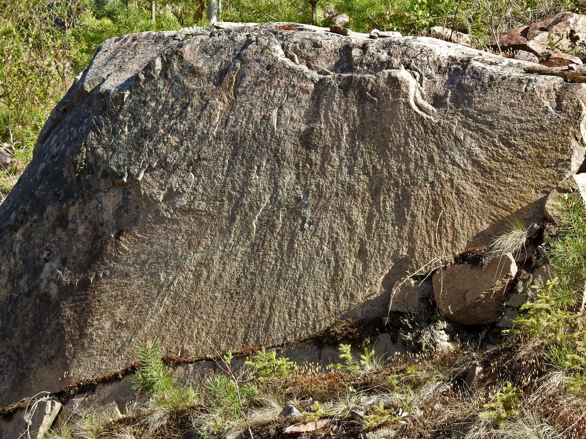 OhmanTeemu's tweet photo. Sometimes people get fooled by blast cones and even coarse plumose(ish) structures and start to think they might have something to do with #ShatterCone's and #ImpactCrater's, which they most definitely do NOT.

#FieldGeology
#geology
#RoadCutGeology https://t.co/zU3e5lZIdN