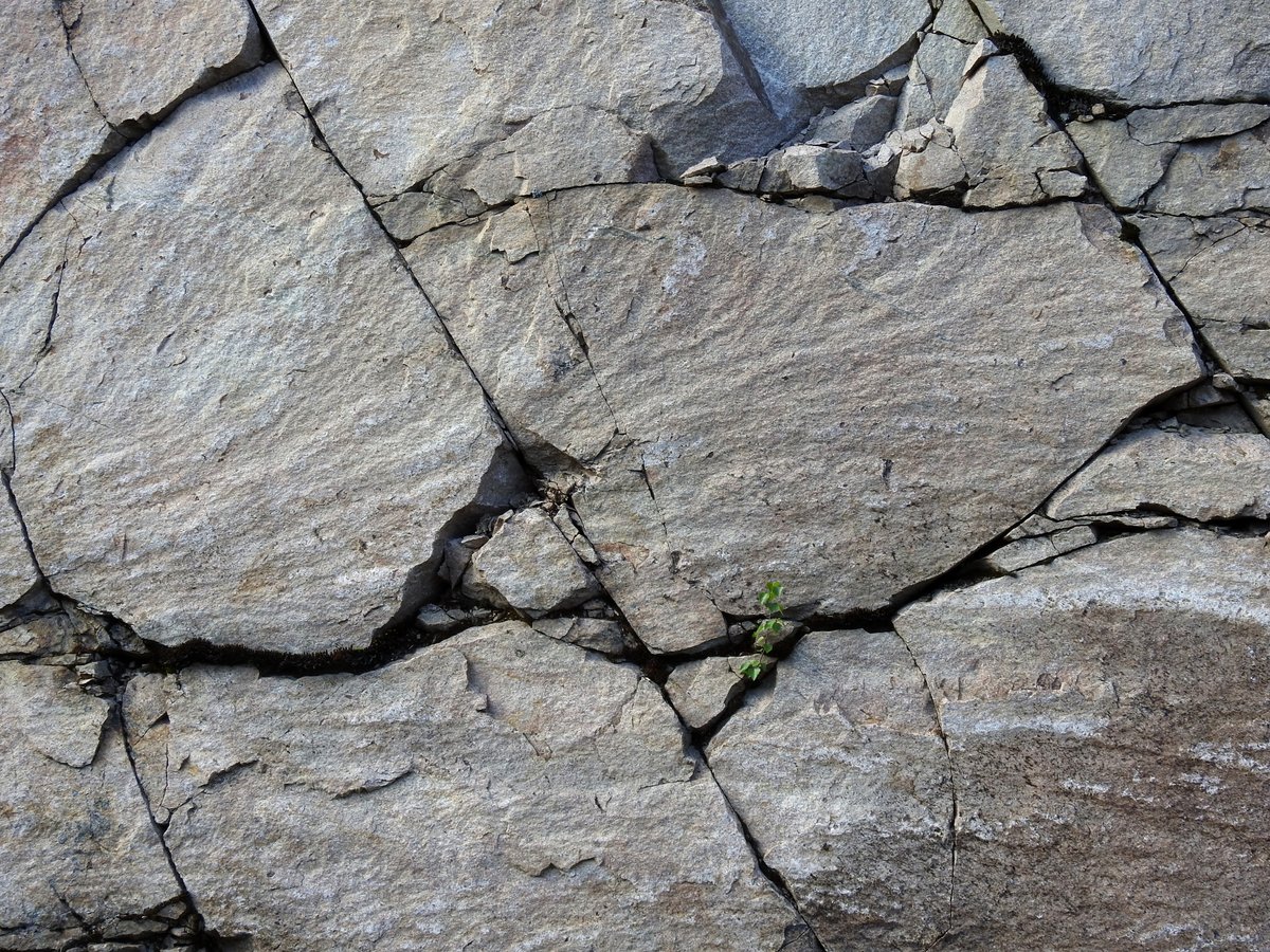 OhmanTeemu's tweet photo. Sometimes people get fooled by blast cones and even coarse plumose(ish) structures and start to think they might have something to do with #ShatterCone's and #ImpactCrater's, which they most definitely do NOT.

#FieldGeology
#geology
#RoadCutGeology https://t.co/zU3e5lZIdN