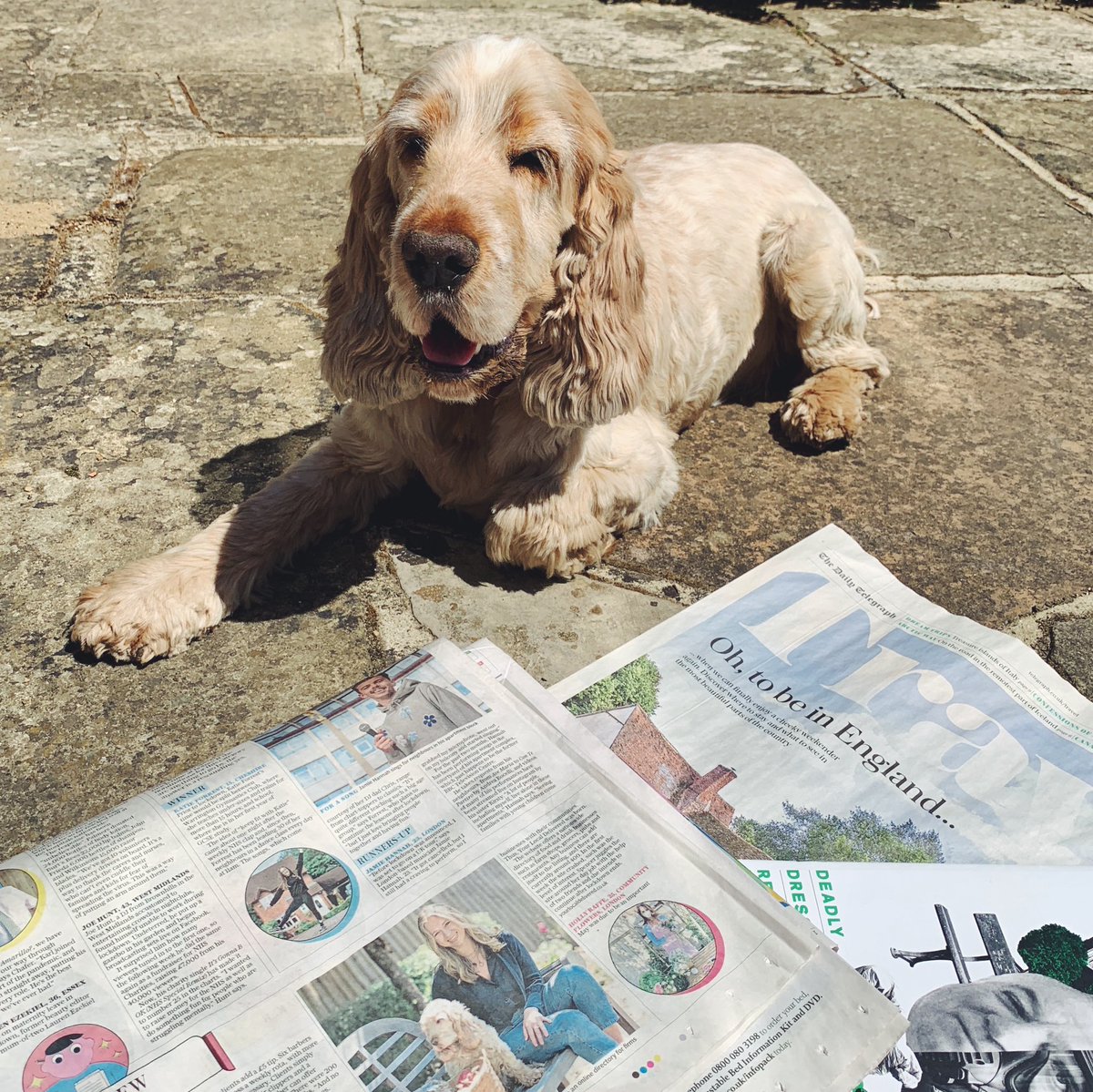 LocalDelivered's tweet photo. We might not have won The @Telegraph’s #LockdownAwards but we all know it’s not about that. It’s about the recognition, that’s what really counts 🧡 https://t.co/Pa7fhmEPKV