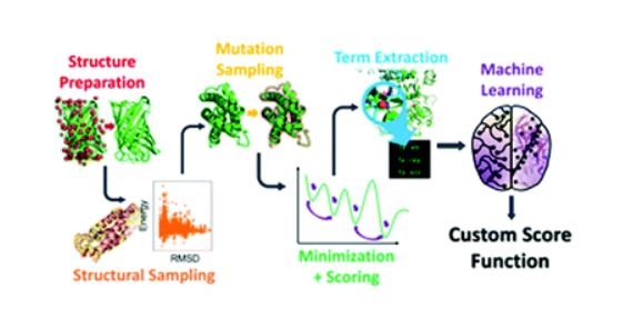 Have you read 'Rosetta custom score functions accurately predict ΔΔG of mutations at protein–protein interfaces using machine learning'? It's the latest Comm from John J. Ferrie & E. James Petersson et al. @PennChemistry 👉🔗 ow.ly/GINV50zSmID