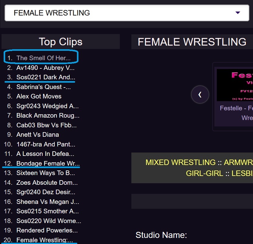 Rage Shieldmaiden on Twitter "Very cool to see a few of my clips in