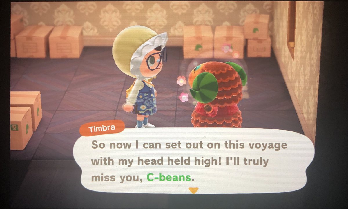 CrankyVillagerz's tweet photo. Timbra is in boxes! Not looking for anything just a good home for her! DM me if interested! #acvillagertrade https://t.co/NjbqZTymMv