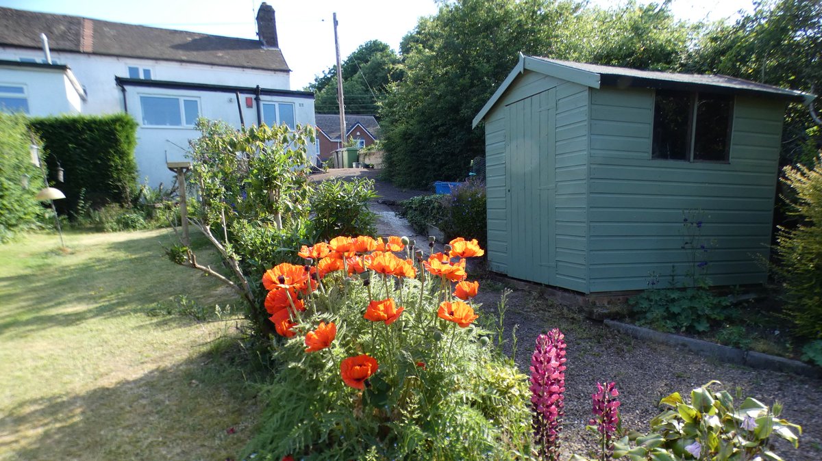 stevef11970's tweet photo. My garden is dry as a bone at the moment , its good excersise covering most if it with a watering  can . https://t.co/8hxySyPBWg