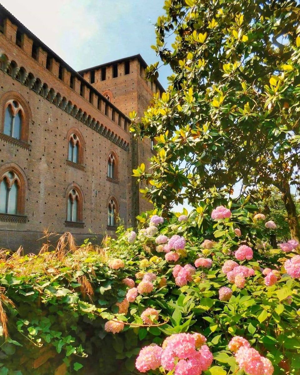 ViolinaStonata's tweet photo. 30 Maggio 2020 
E riaprono anche i giardini del Castello Visconteo a Pavia 
Pavia la ripartenza   ^_^
#pavia #castellovisconteo #forzapavia #afterthelockdown #Lombardia  #Italia https://t.co/Yqkft5QLYc