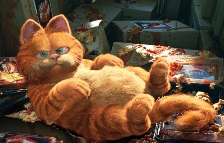 Графилд. Графилд. Графилд. Кот гарфилд. Гарфилд 2 симба.