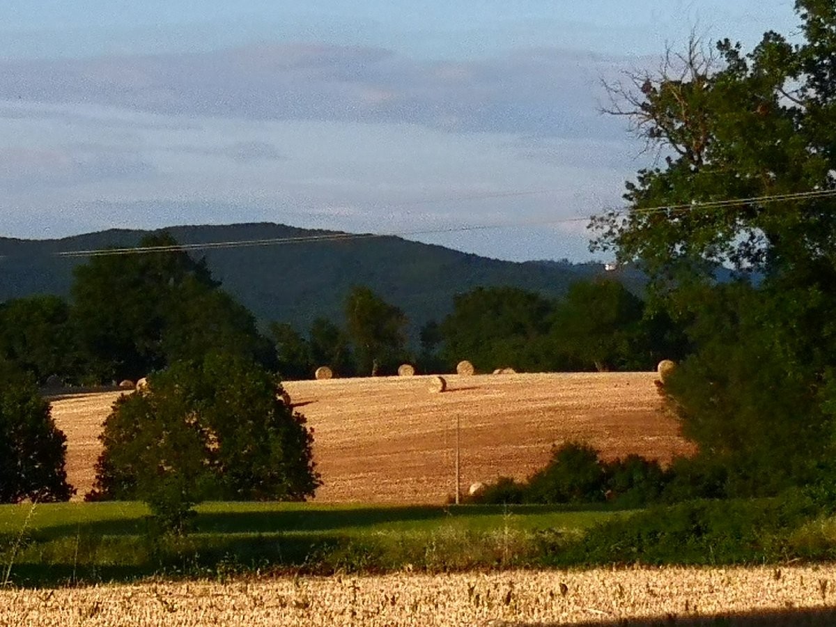 massimolegacoop's tweet photo. #tusciaviterbese quasi #toscana effetto #rotoballe #Primavera #Italia #visititalia https://t.co/KbvMJwfl3O