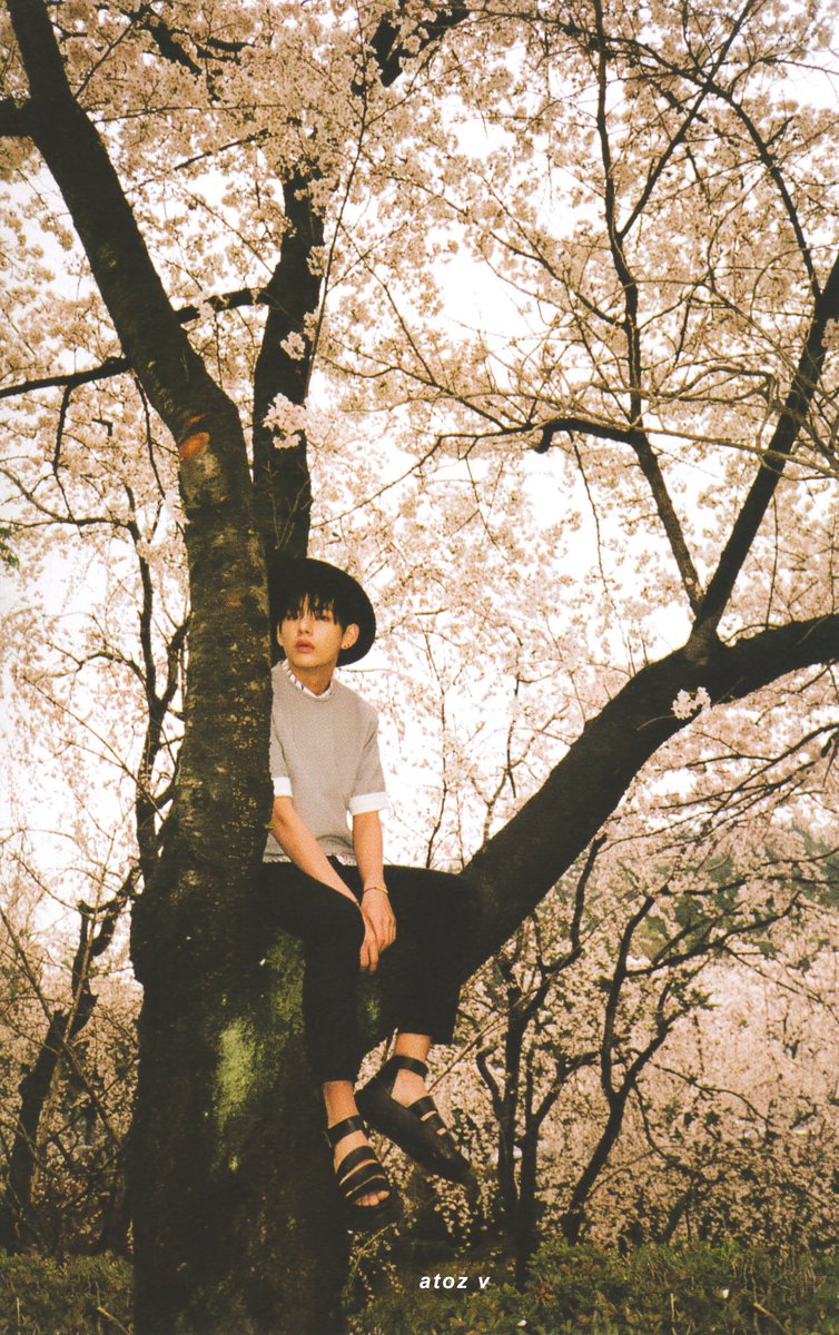 ［scan］화양연화 pt.1
