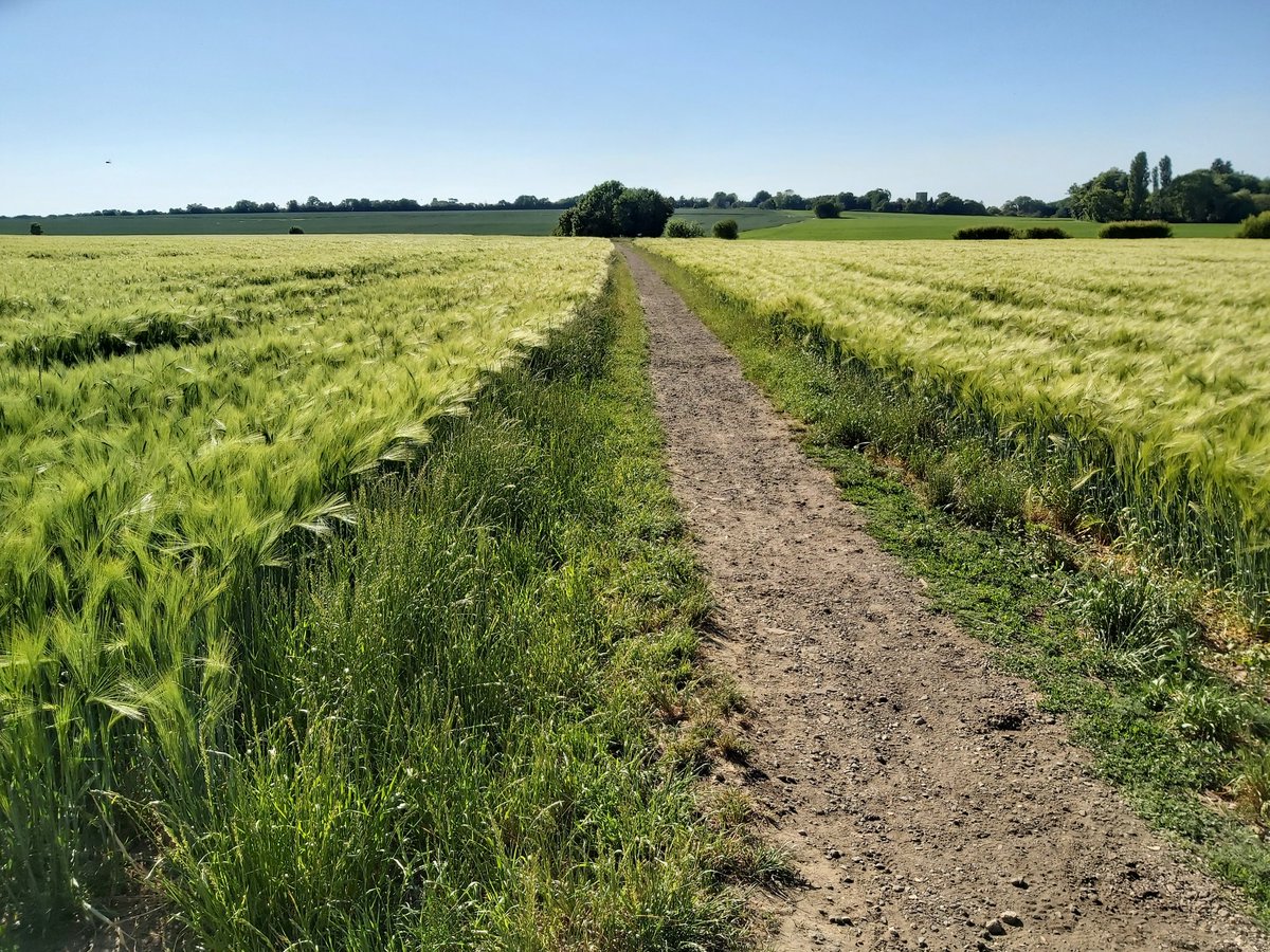 This is better. Quiet bridleway out of Bar Hill to Lolworth.