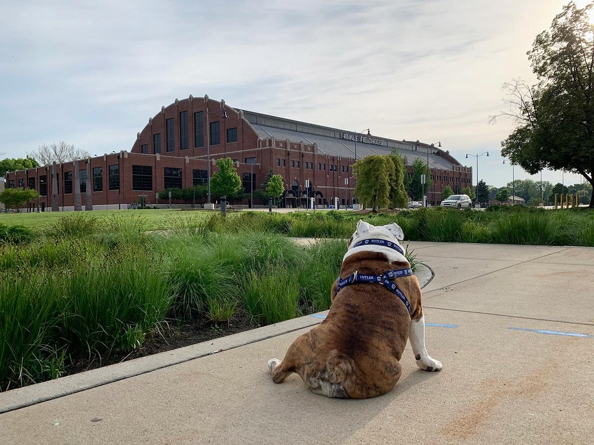 ButlerBlue3's tweet photo. Taking it all in before hanging it all up. 

I love this place, and I’m sure gonna miss it. 

#GoDawgs 🐶  | #OneLastTrip https://t.co/NM2SZeytsF