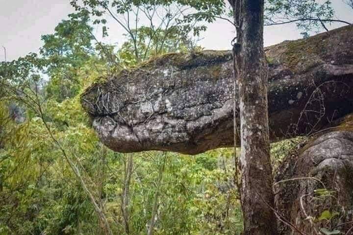 Adarsh Hegde på Twitter: ”There is a cave in Thailand called Naka Cave  which looks like a Giant Snake. Its belived that centuries ago a sanke was  cursed to be stone.? @ShefVaidya @