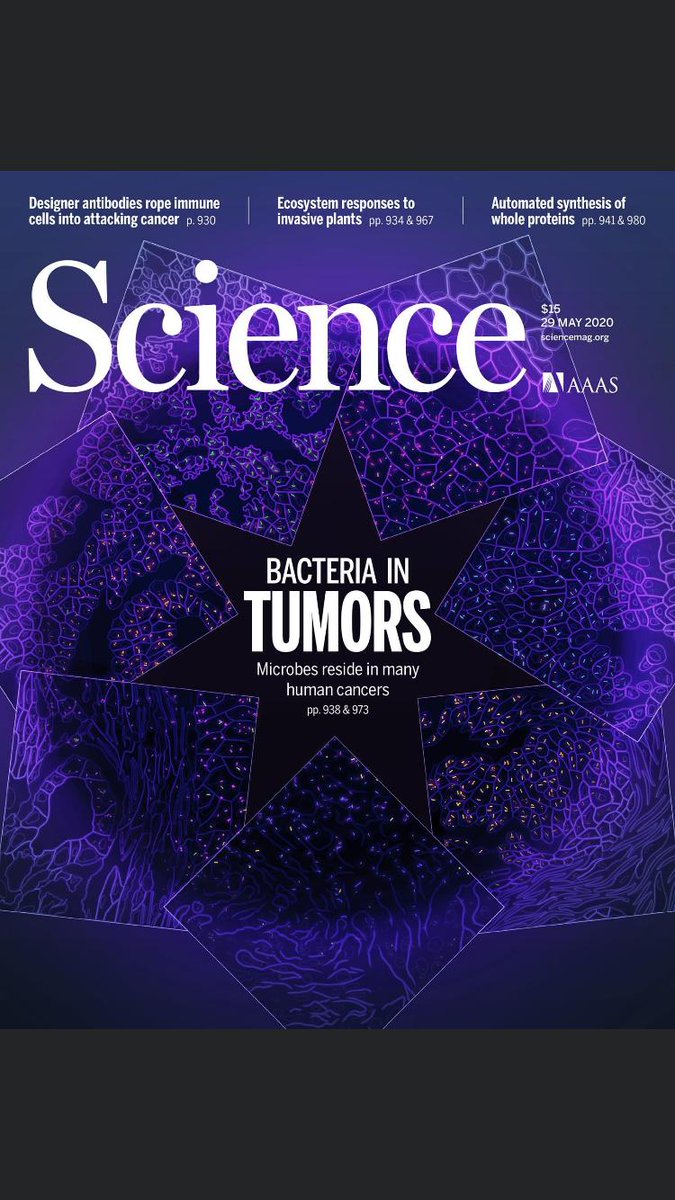 Happy to share our new paper characterizing inta-tumor bacteria across multiple human tumor types. science.sciencemag.org/content/368/64….