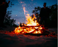 @LockdownUnlocked tweet media