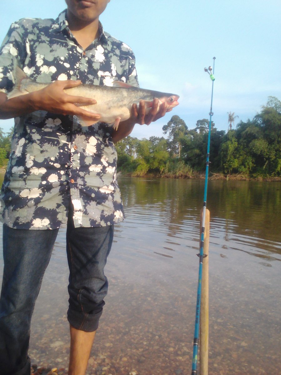 dedycule's tweet photo. Mancing sungai kampar๐
#umpansawit
#matapancing
#mancingsungai
#mancingmania https://t.co/lxzGybh6x1