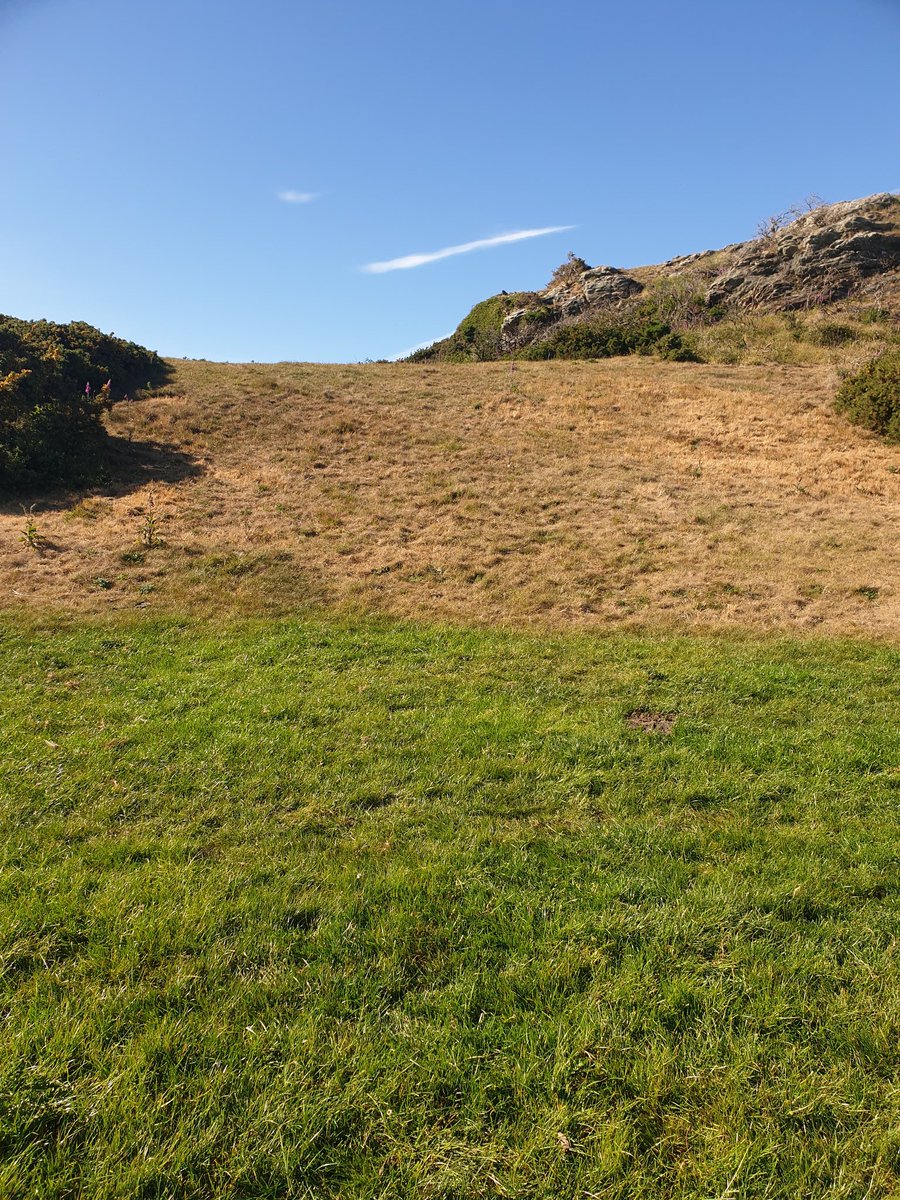 The weather is beautiful such a shame about the effect its having on our grazing fields. Just hope we get some rain soon !