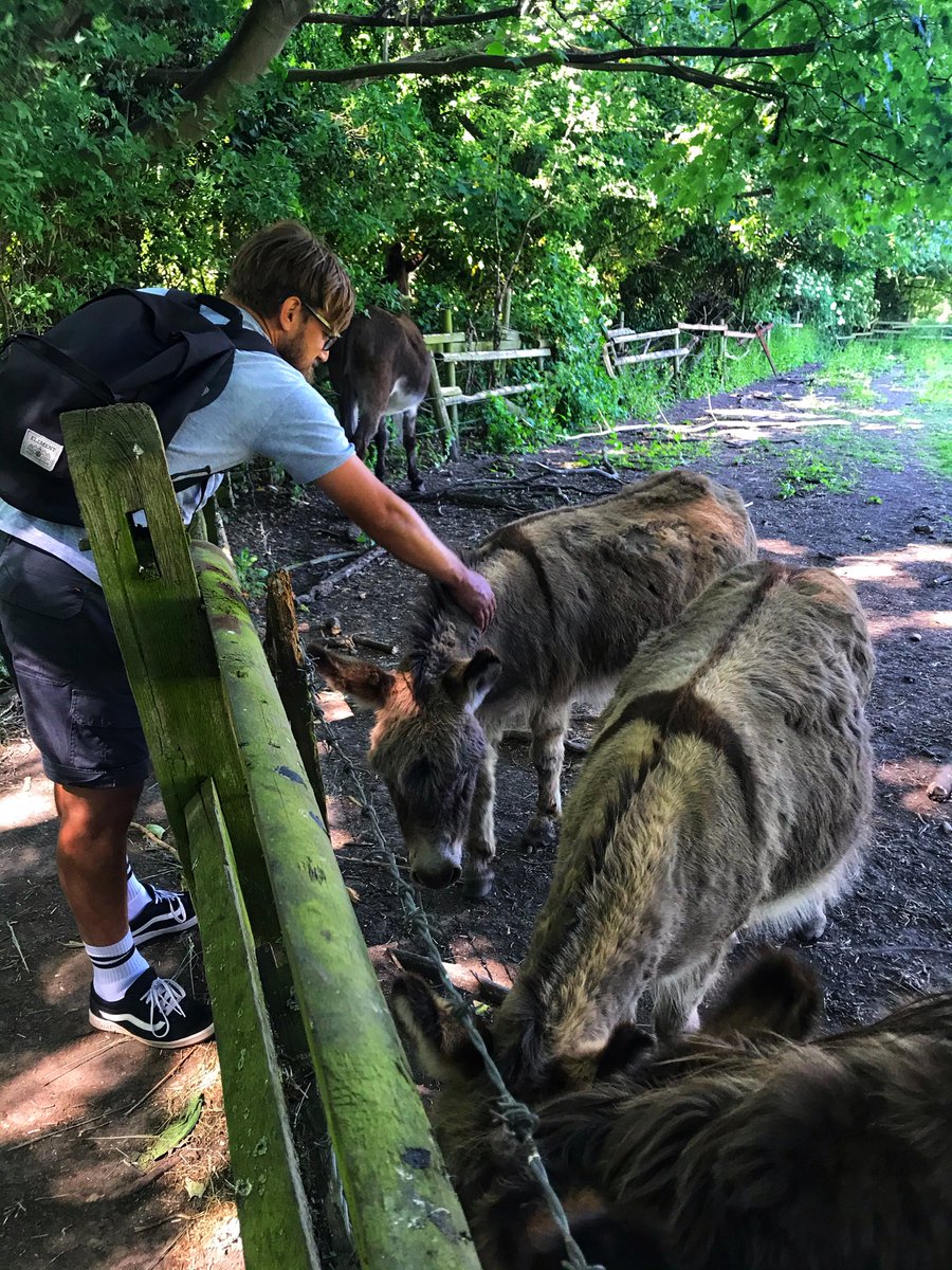 Lovely walk to see the lovely Donkey’s 🙂 #lockdownwalk #donkey #campsite #lockdown #campsitewardens #wardenlife