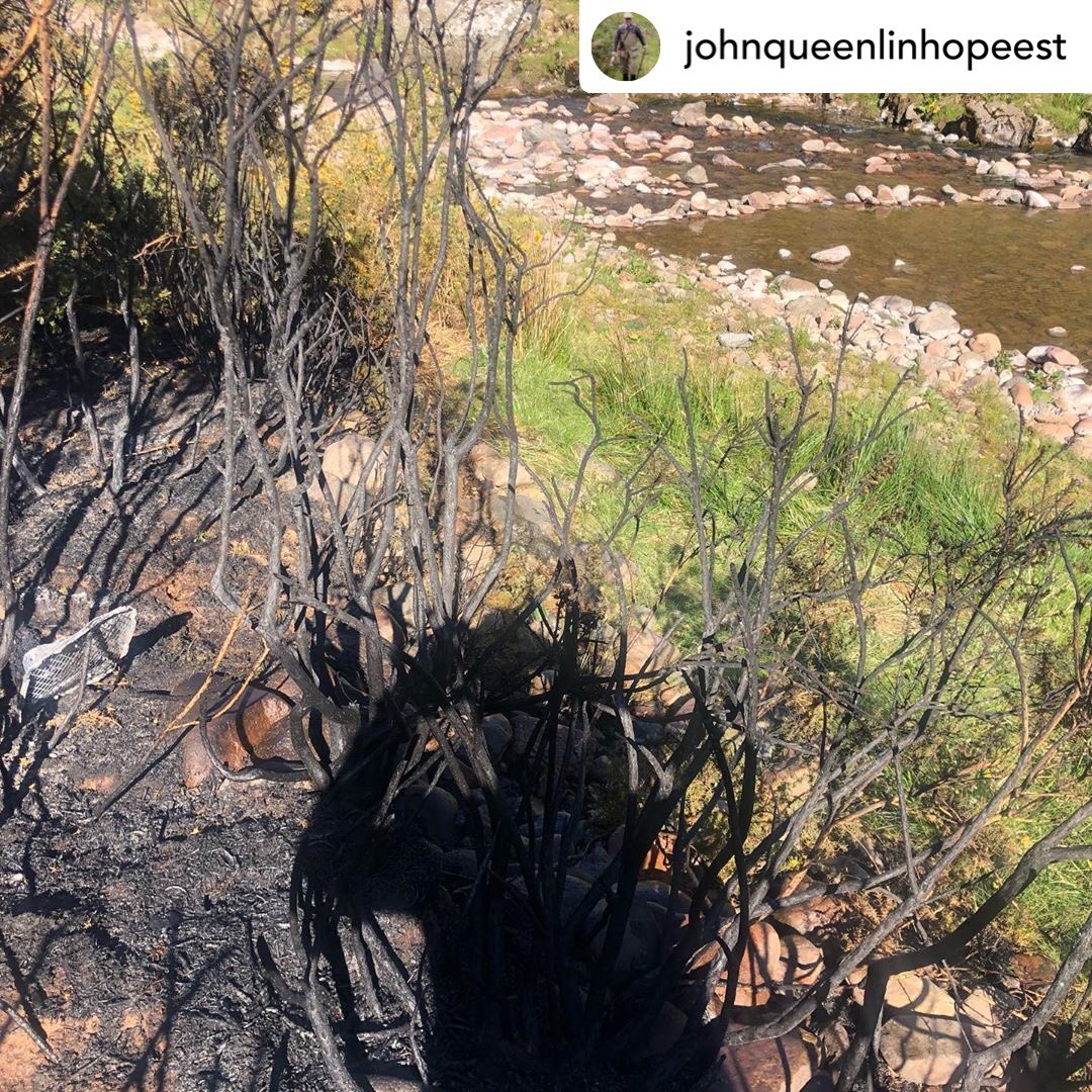 IngramValleyGB's tweet image. The signs in the valley are big and bold but still...