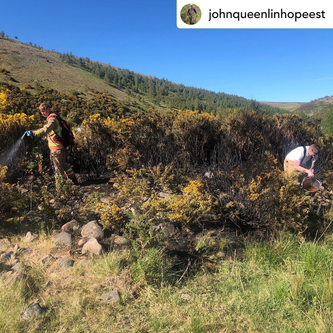 IngramValleyGB's tweet image. The signs in the valley are big and bold but still...