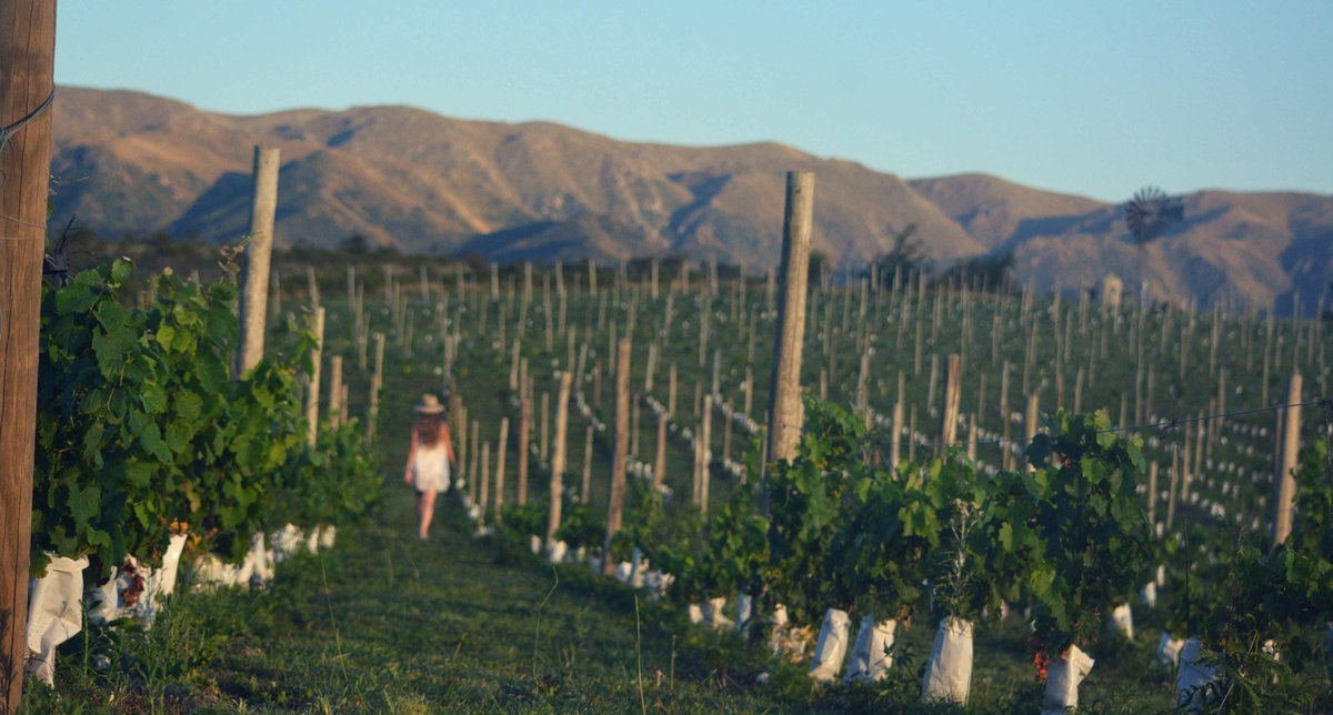 Córdoba Turismo tweet media