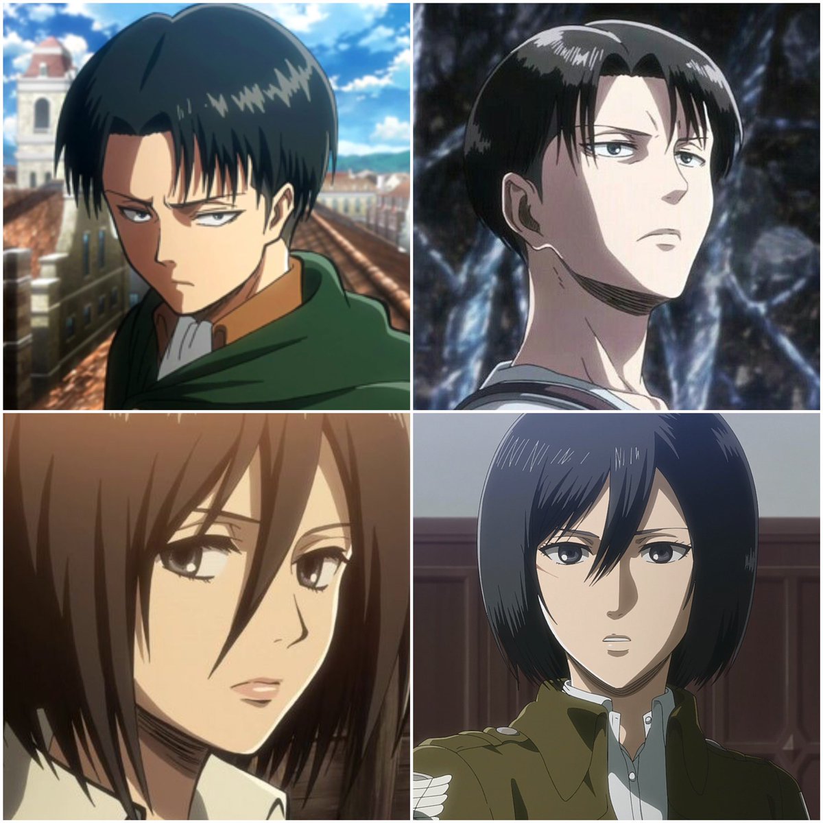 Mikasa Haircut Season 4 - bmp-potatos