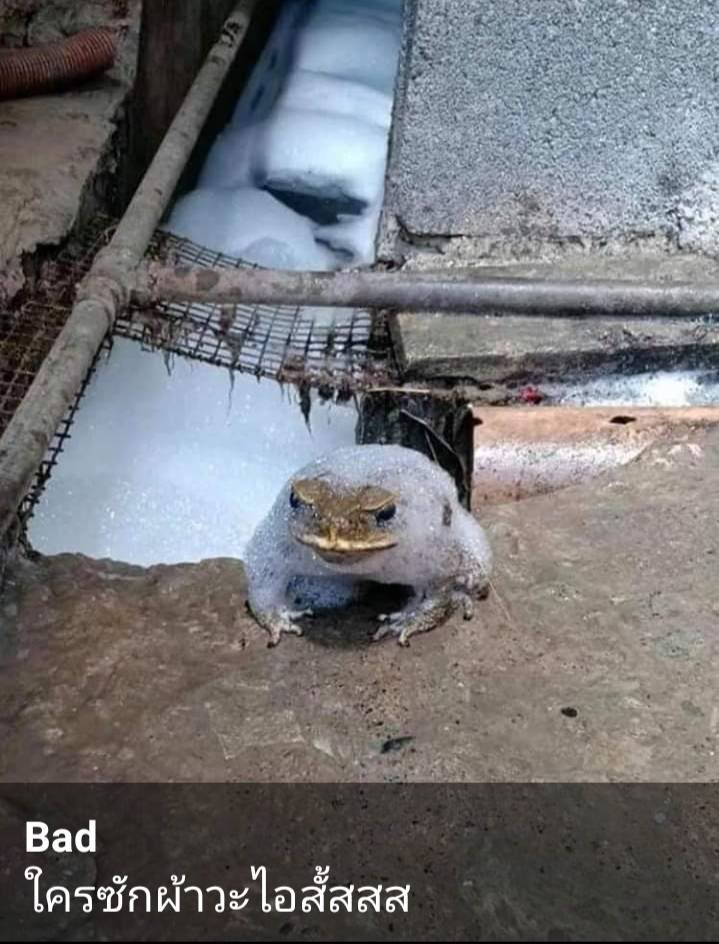 5555555555555555555555555555555555555555555555555555555555