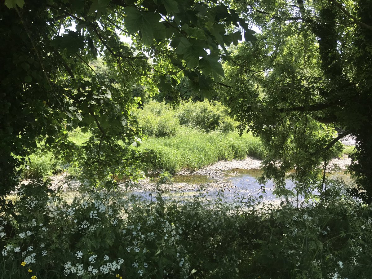 Laura Curtin (Lols) tweet media