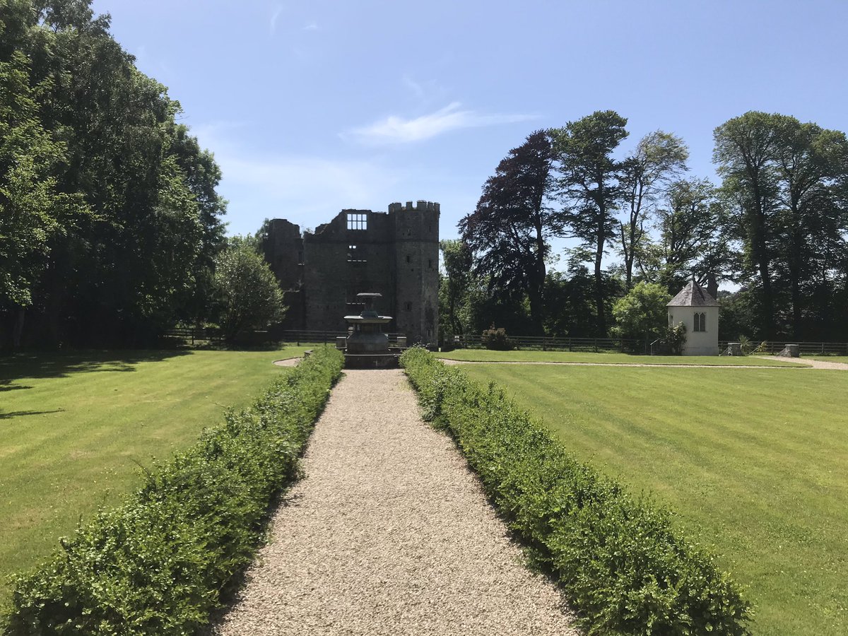 Laura Curtin (Lols) tweet media