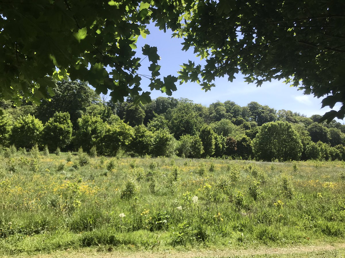 Laura Curtin (Lols) tweet media