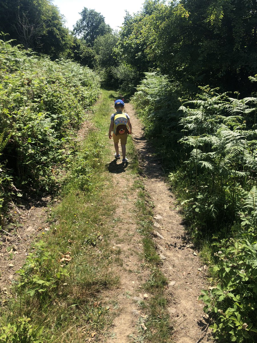 mrscharwaldron's tweet photo. During a very long+hot walk through the woods today, we may have lost our way a little 🙄 and at one point we came to a locked fence with no way onwards - my 2 year olds reaction “let me check if I have something that can help in my backpack...” #andyobsessed @AndyDayTV https://t.co/cI1lIQEMkj