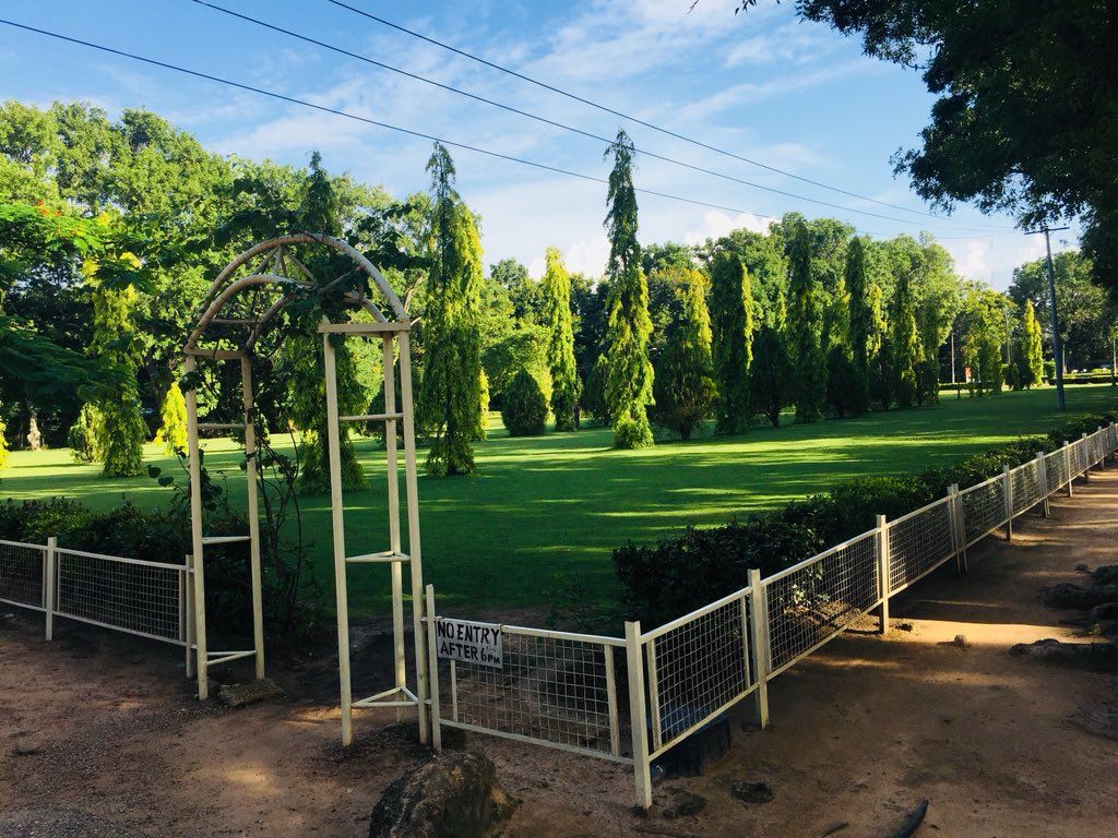 mkaliyu2's tweet photo. ABU Zaria green scenery https://t.co/O8J3o1ZkFV