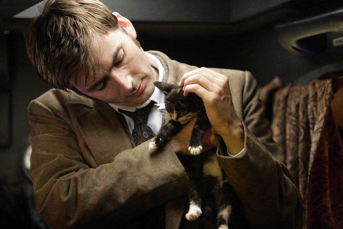 David Tennant holding kittens gives me the serotonin boost I currently need in life. #NewNewYork