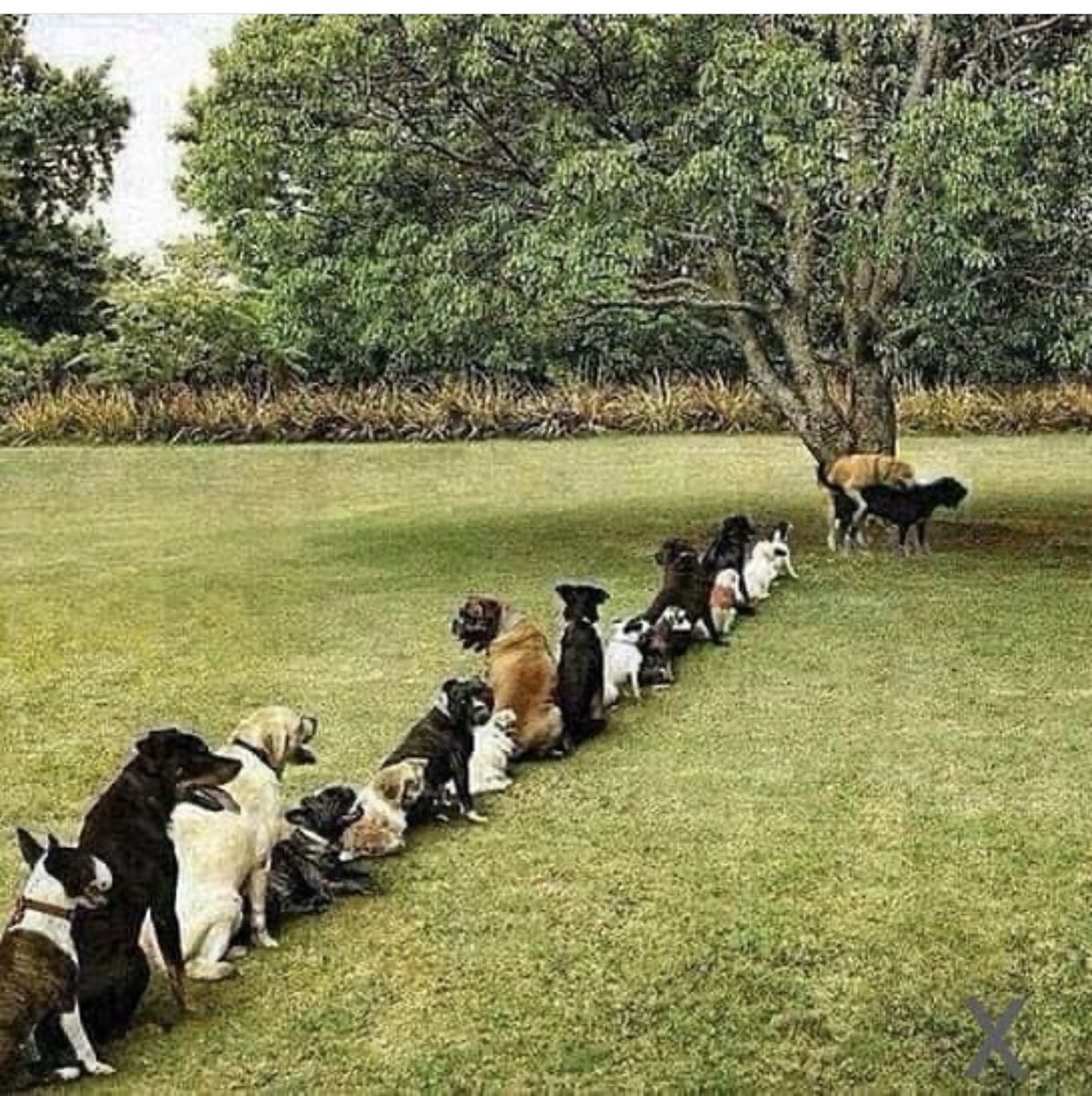 Mbalibiach's tweet photo. There’s always that girl in the hood that can service the whole hood niggas 😭🤣🤣🤣 https://t.co/ef28K5pbF5