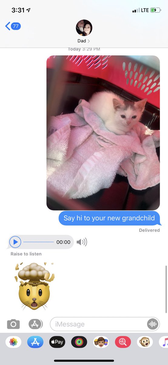 autcheyenne's tweet photo. When your parents want babies but the best you can do is cats 😂 https://t.co/frZzOyZpvG