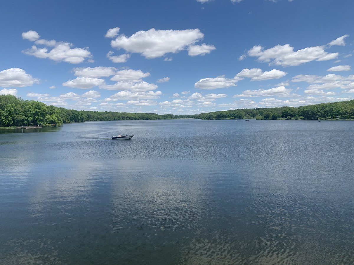 0valnuts's tweet image. 