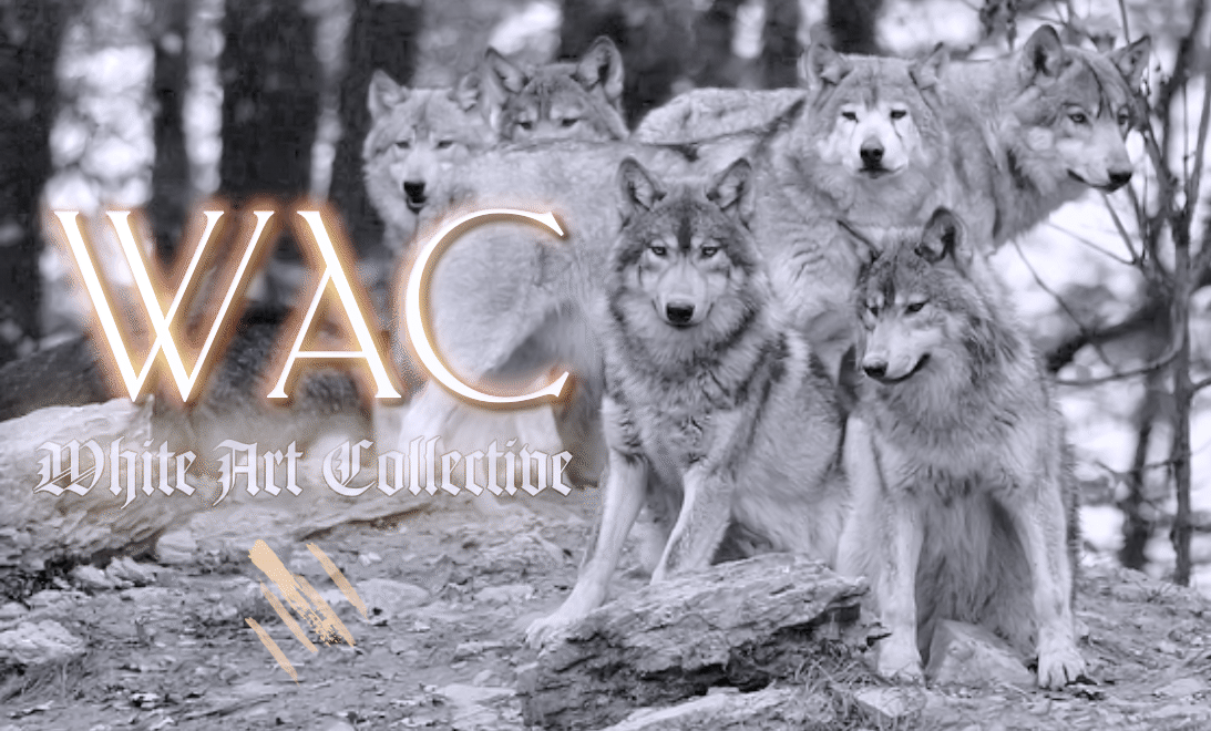 Aeodh_'s tweet photo. TONIGHT 9pm est #SNL on @WhiteCollective
Also, Dance Squared right after with new music from
@boxkhar #WACpack & the MLVolk. @OfficialDLive
#WAC #ModernityLeave #Boxkhar #music
LINK : https://t.co/t8he87soCh https://t.co/do50OVQcW6