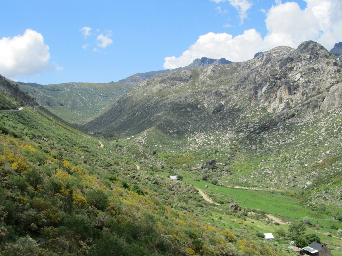 12/ Thus Serra da Estrela was immortalised as the Mountains of Hermes. Herminius Mons therefore became the name or "brand" of my work, a tribute to my homeland and to my ancestors as Hermes is the sum of them all. My goal is the revival of our ancient traditions and nothing else