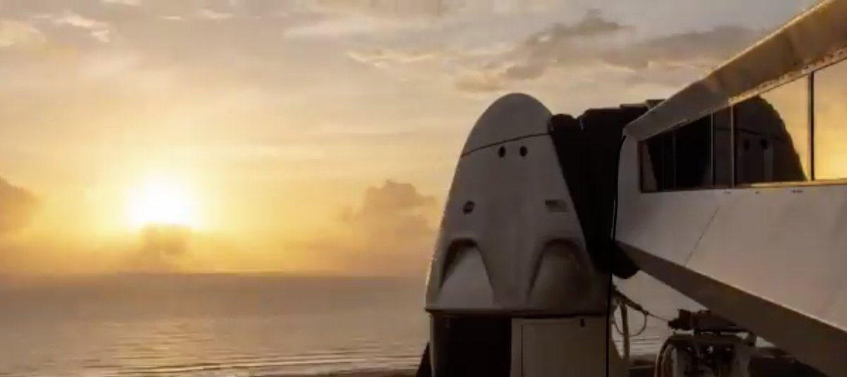 zoerose19701's tweet photo. @elonmusk https://t.co/pTBtNzIsdd